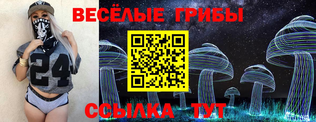 Тулун  Галлюциногенные грибы Magic Shrooms  Псилоцибиновые грибы прущие грибы  Вход с VPN 