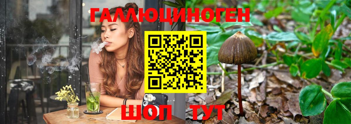 Псилоцибиновые грибы Psilocybine cubensis Тулун